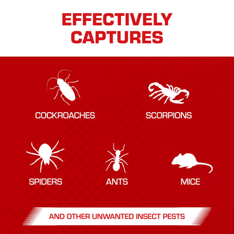 Tomcat Glue Board ready-to-use design simplifies setup for quick pest containment.