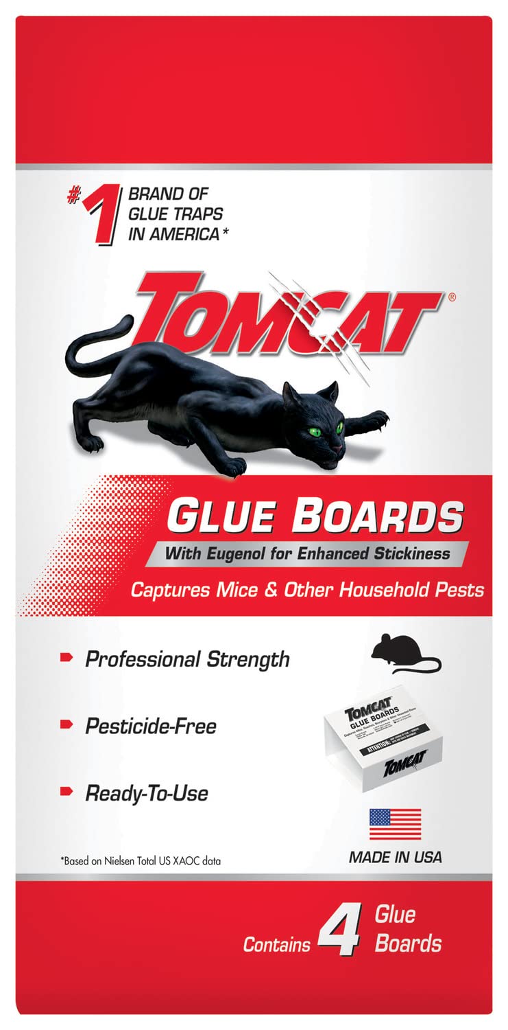 Tomcat Glue Boards catching cockroaches and spiders in a corner.