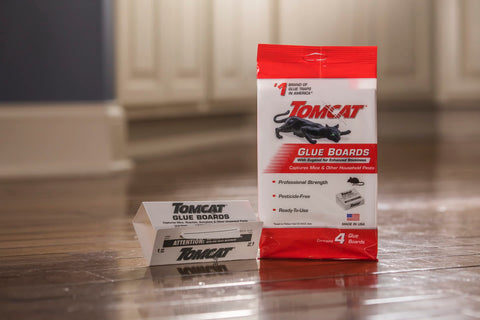 Tomcat Glue Boards placed along a wall to target mice along baseboards.