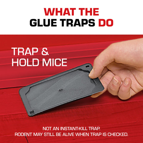 Tomcat Glue Traps pack of six disposable traps for easy replacement