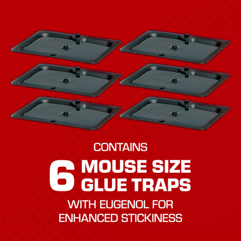 Tomcat Glue Traps placed along kitchen wall for high-traffic pest capture