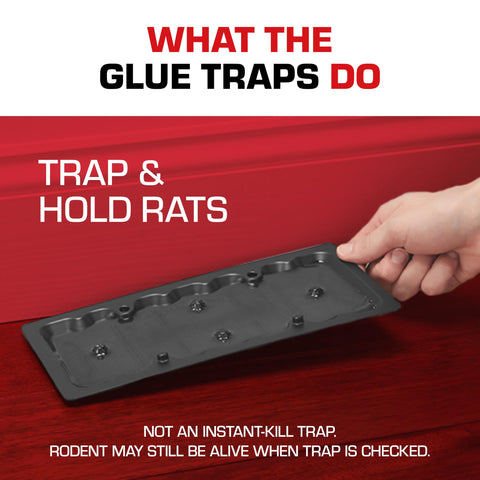 Tomcat rat size traps are pesticide free and non toxic.