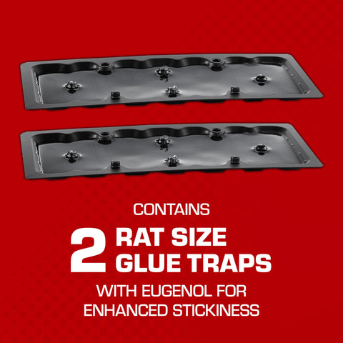 Tomcat rat size glue trap ready to use for quick setup.