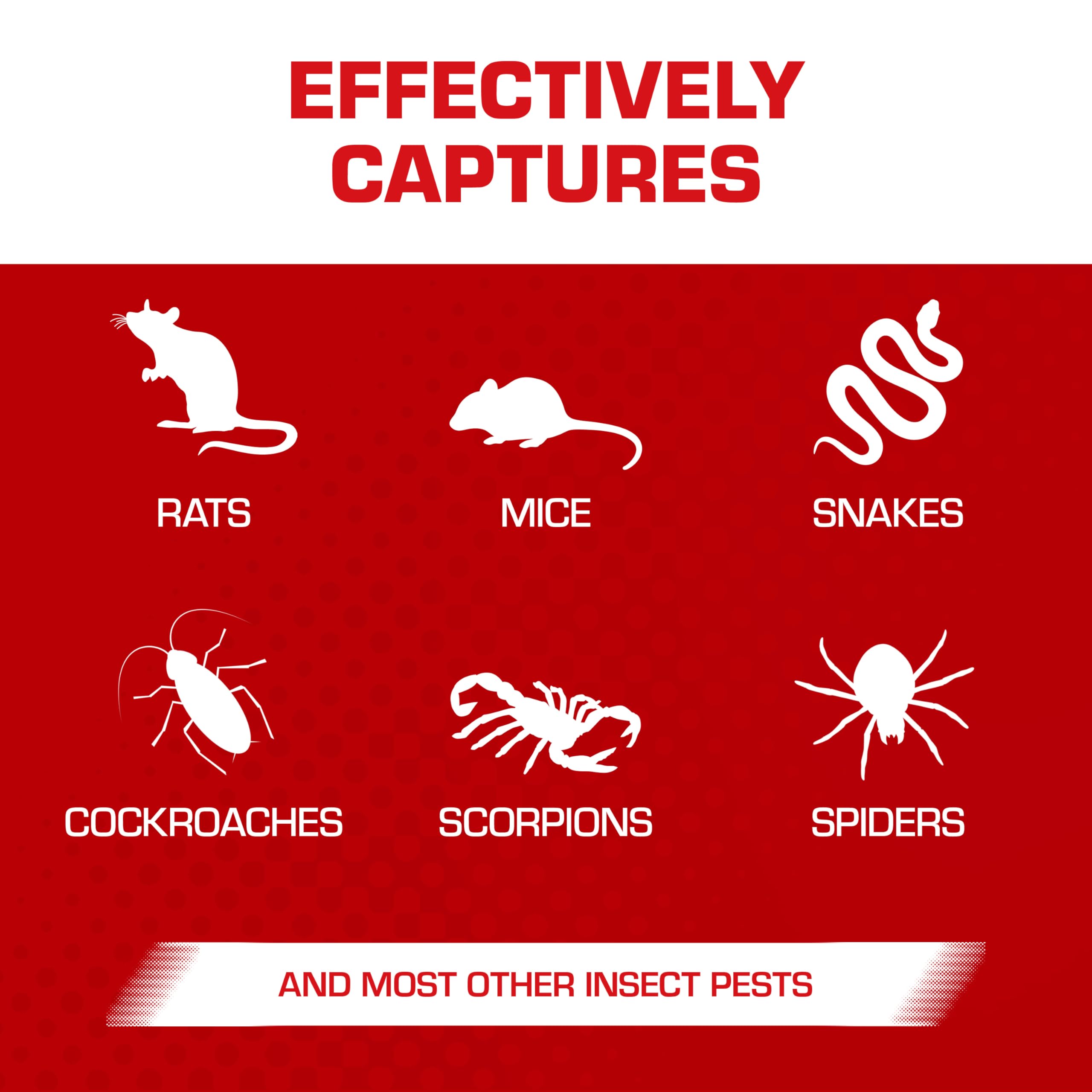 Tomcat eugenol enhanced glue trap improves stickiness for secure capture.