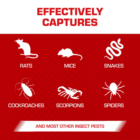 Tomcat eugenol enhanced glue trap improves stickiness for secure capture.