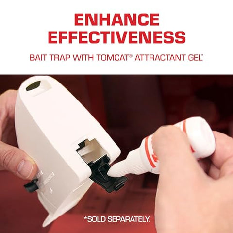 Tomcat Kill & Contain trap along baseboard edge for edge-area targeting.