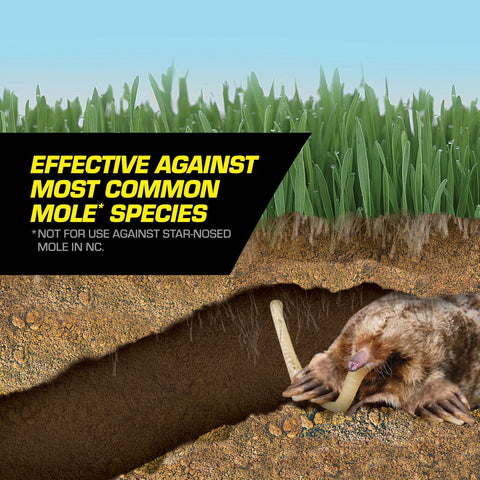 Tomcat Mole Killer ten-pack box provides economical mole control options.