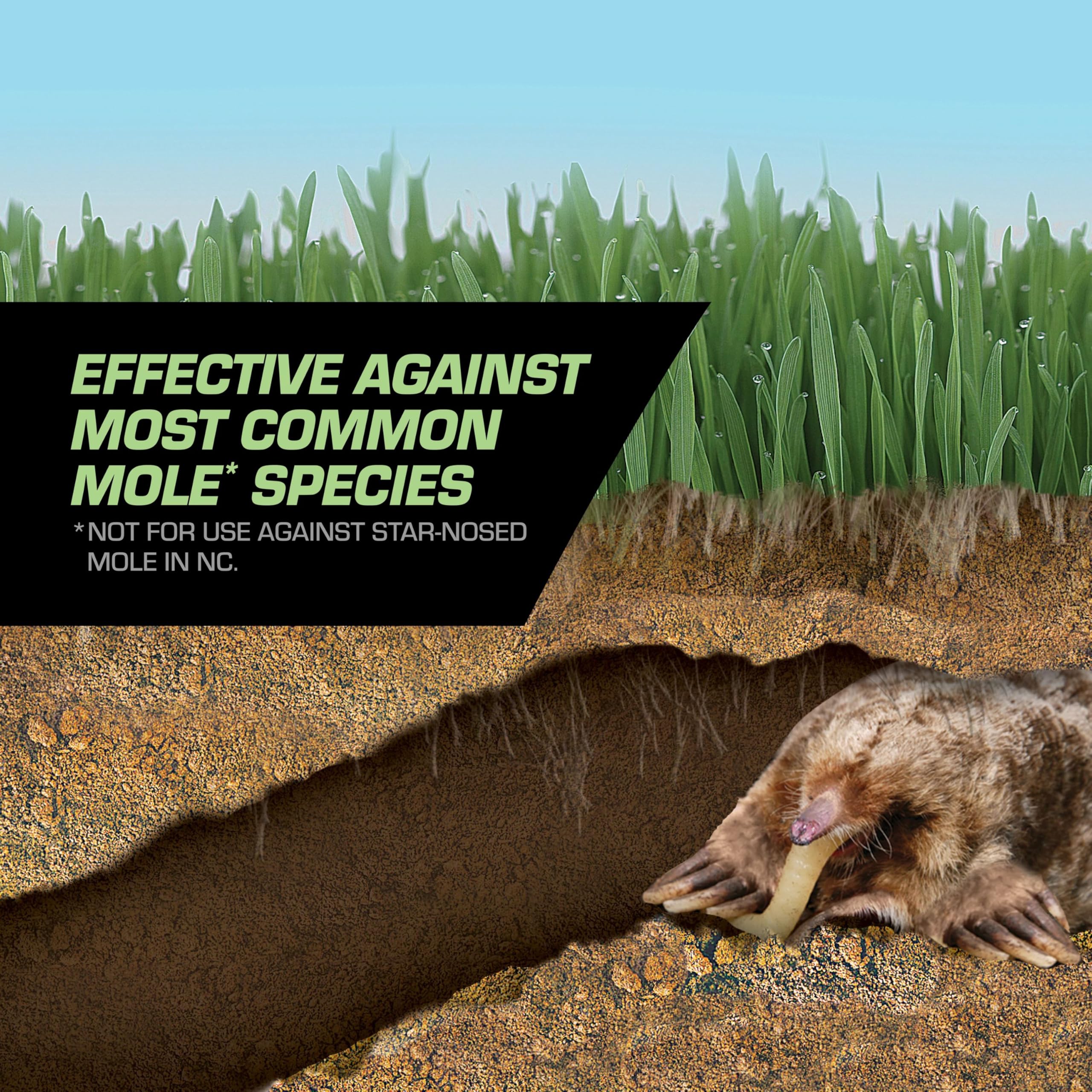 Tomcat Mole Killer Grubs packaging shows eight baits.