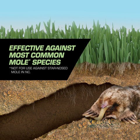 Tomcat Mole Killer Grubs packaging shows eight baits.