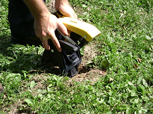 Tomcat Mole Trap bloodless capture reduces messy cleanup.