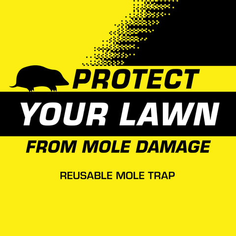 Tomcat Mole Trap curved jaw in action for quick capture.
