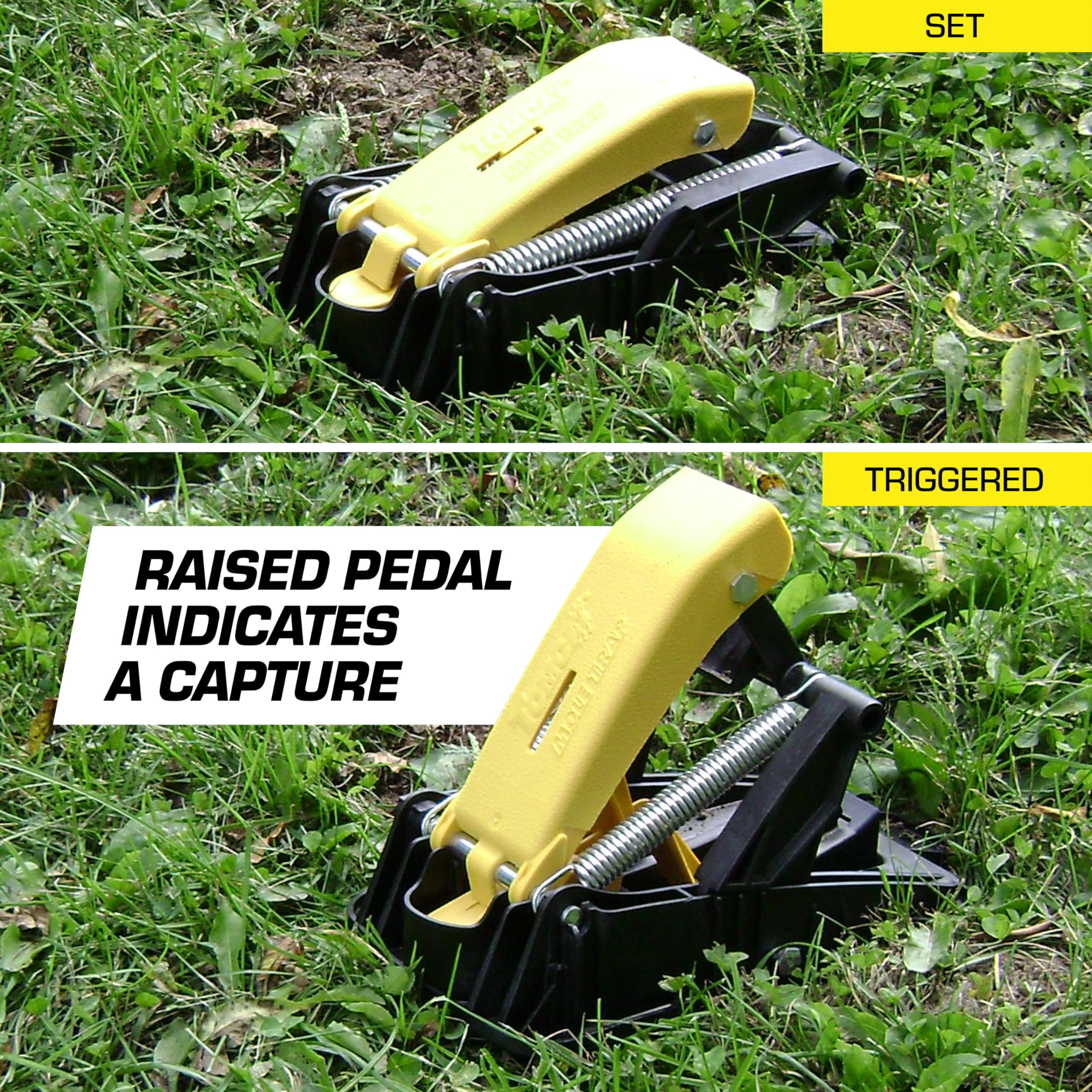 Tomcat Mole Trap helps identify active tunnels for targeted placement.