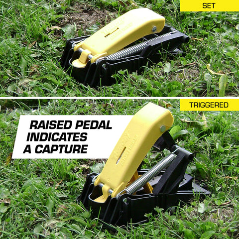 Tomcat Mole Trap helps identify active tunnels for targeted placement.