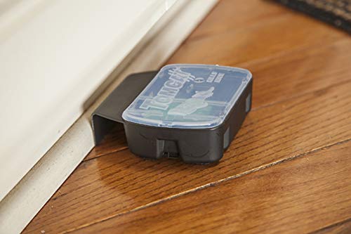 Tomcat Mouse Killer Station placed in basement for discreet indoor placement