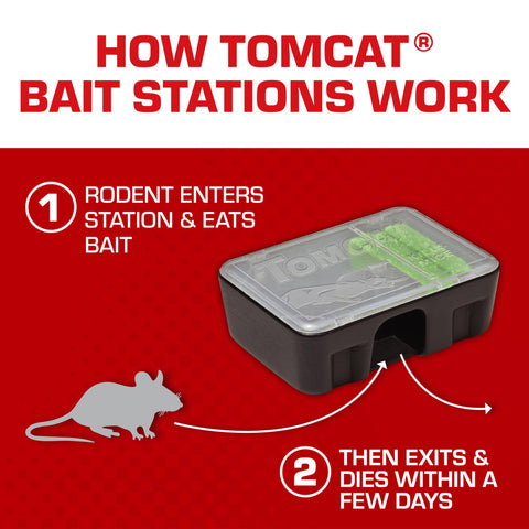 Tomcat Mouse Killer Station outdoors in a garage setting.