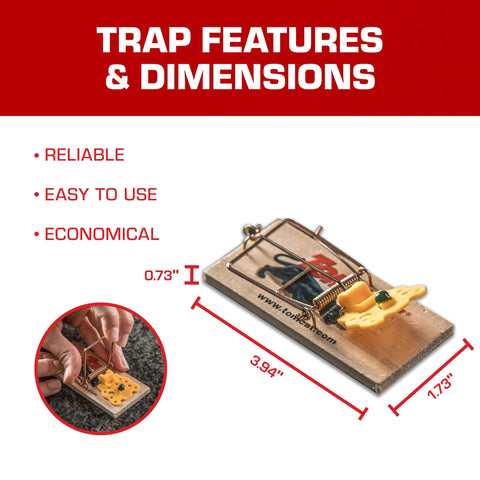 Tomcat wooden mouse trap set in a basement near baseboards.