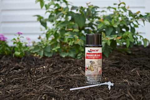 Tomcat Rodent Block expands best at 60–90°F for optimal results.