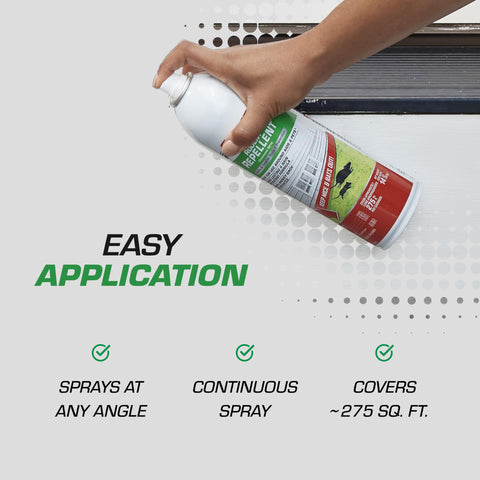 Covers about 275 square feet per application.
