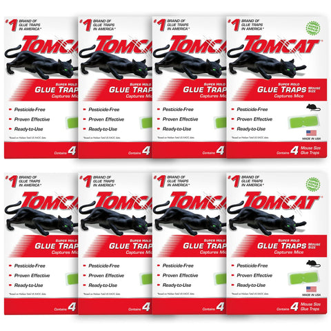 Tomcat Super Hold Glue Traps mouse-size close-up showing strong adhesive for fast capture.