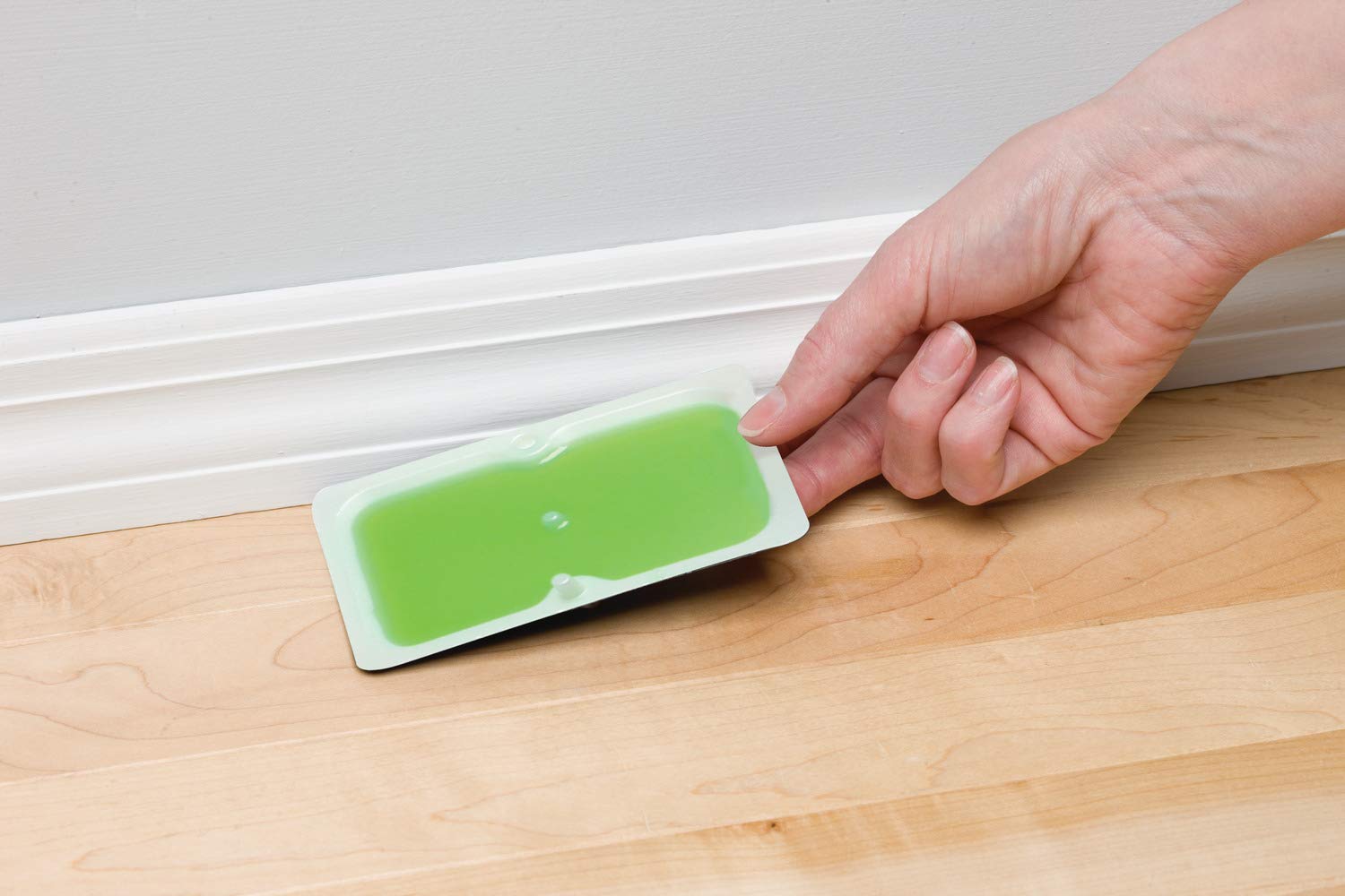 Tomcat Super Hold Glue Traps high-contrast adhesive aids quick rodent identification.