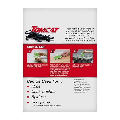 Tomcat glue trap shown ready-to-use straight from the box along wall