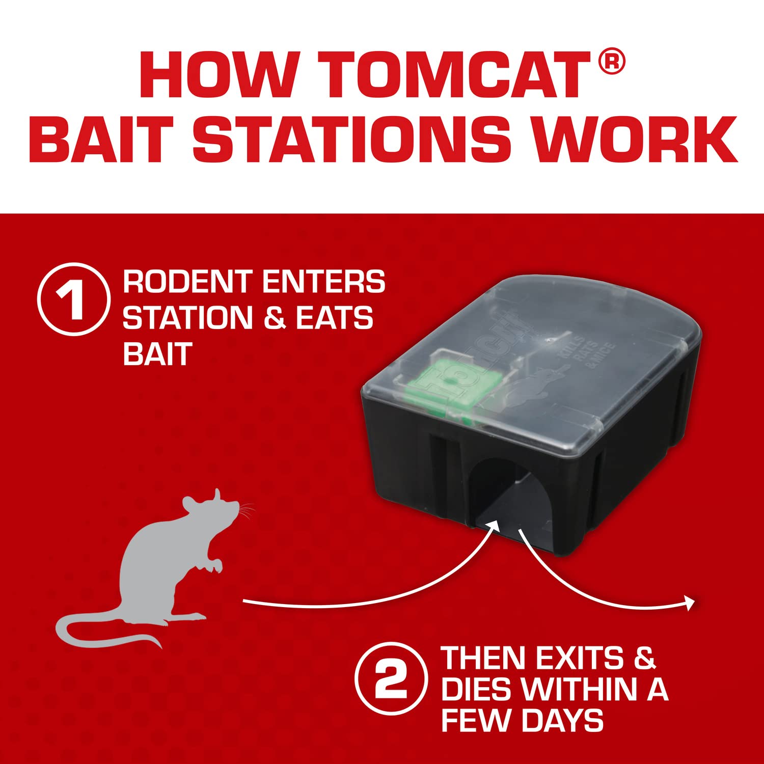 Tomcat tamper-proof design protects bait from children and dogs