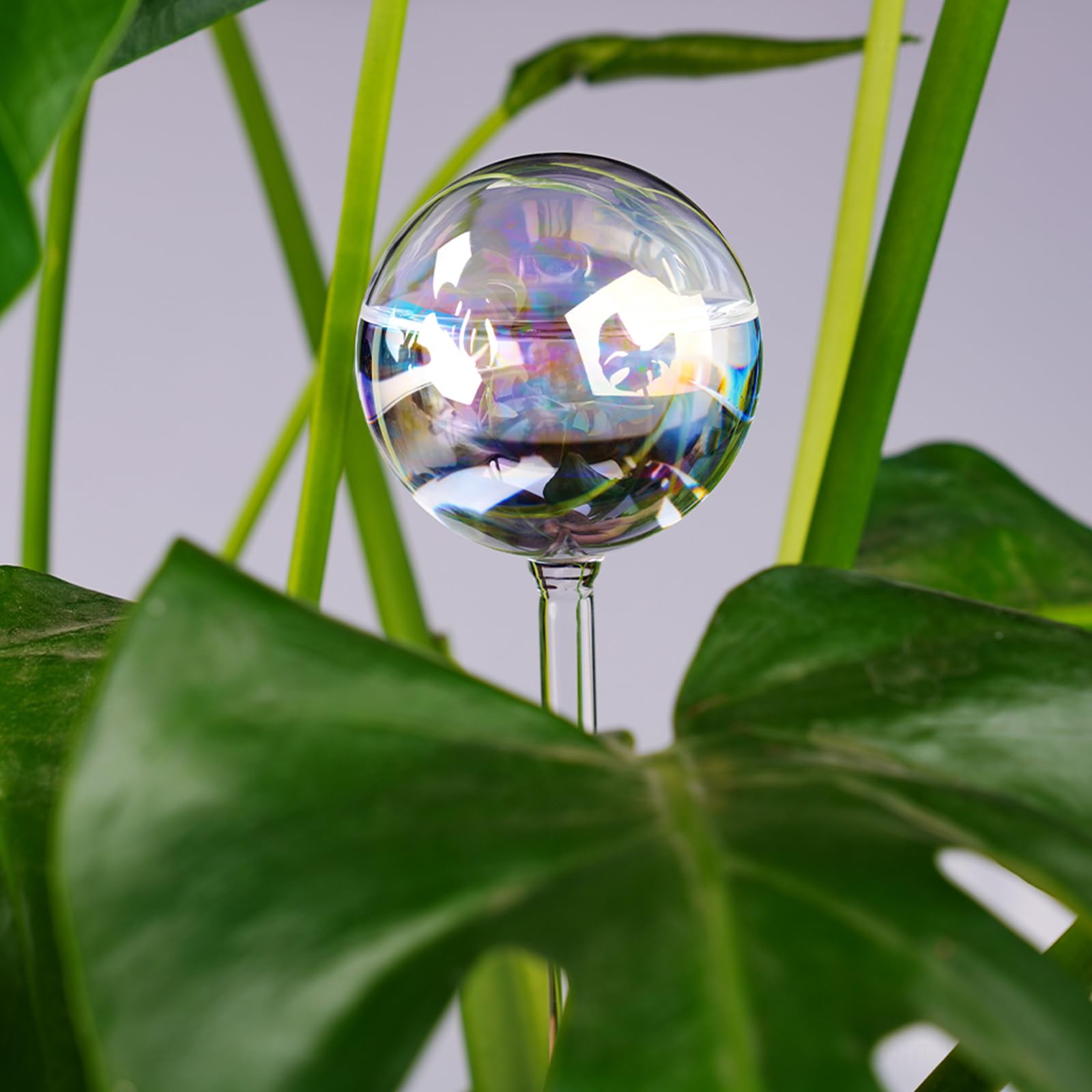 Tomorotec easy-fill design fills to 80 percent for reliable watering.