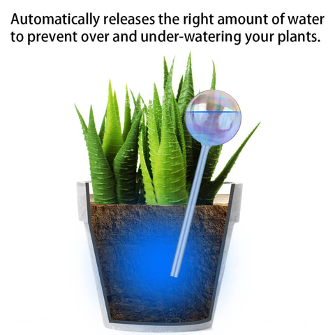 Tomorotec hand-blown glass globe adds elegant irrigation to indoor plants.