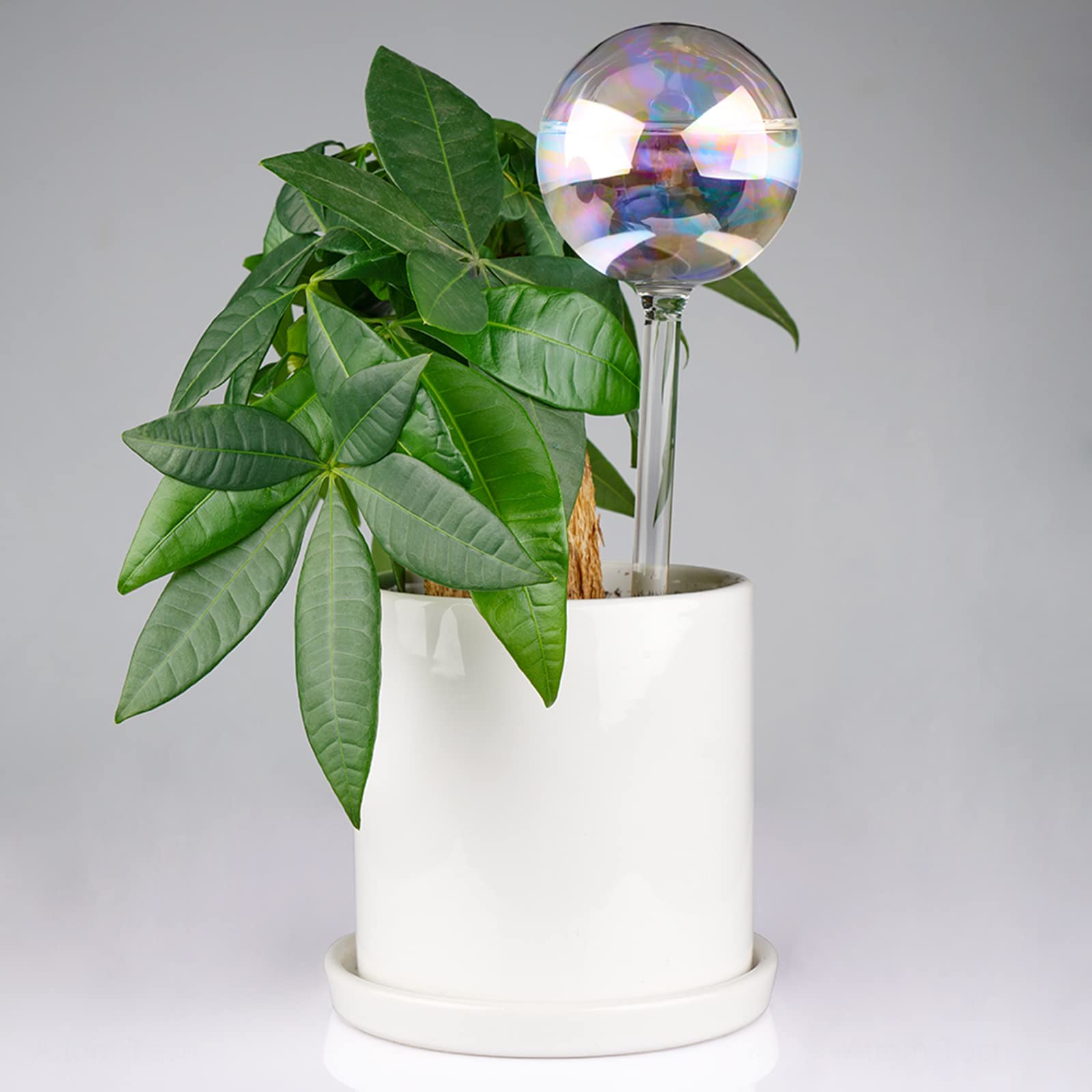 Tomorotec decorative iridescent bulbs brighten planters while hydrating soil.