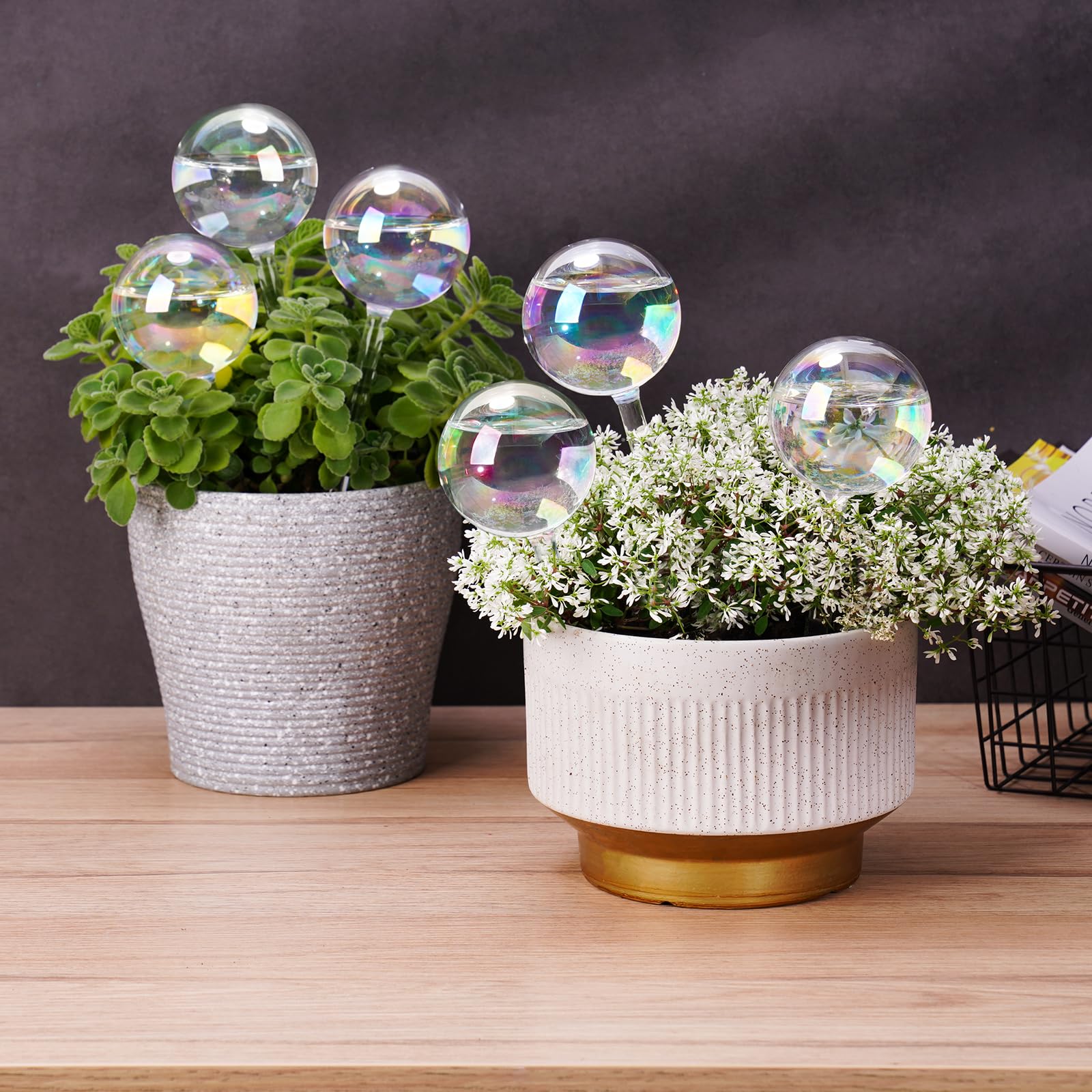Tomorotec mini irrigation system glows with iridescent hues while watering.