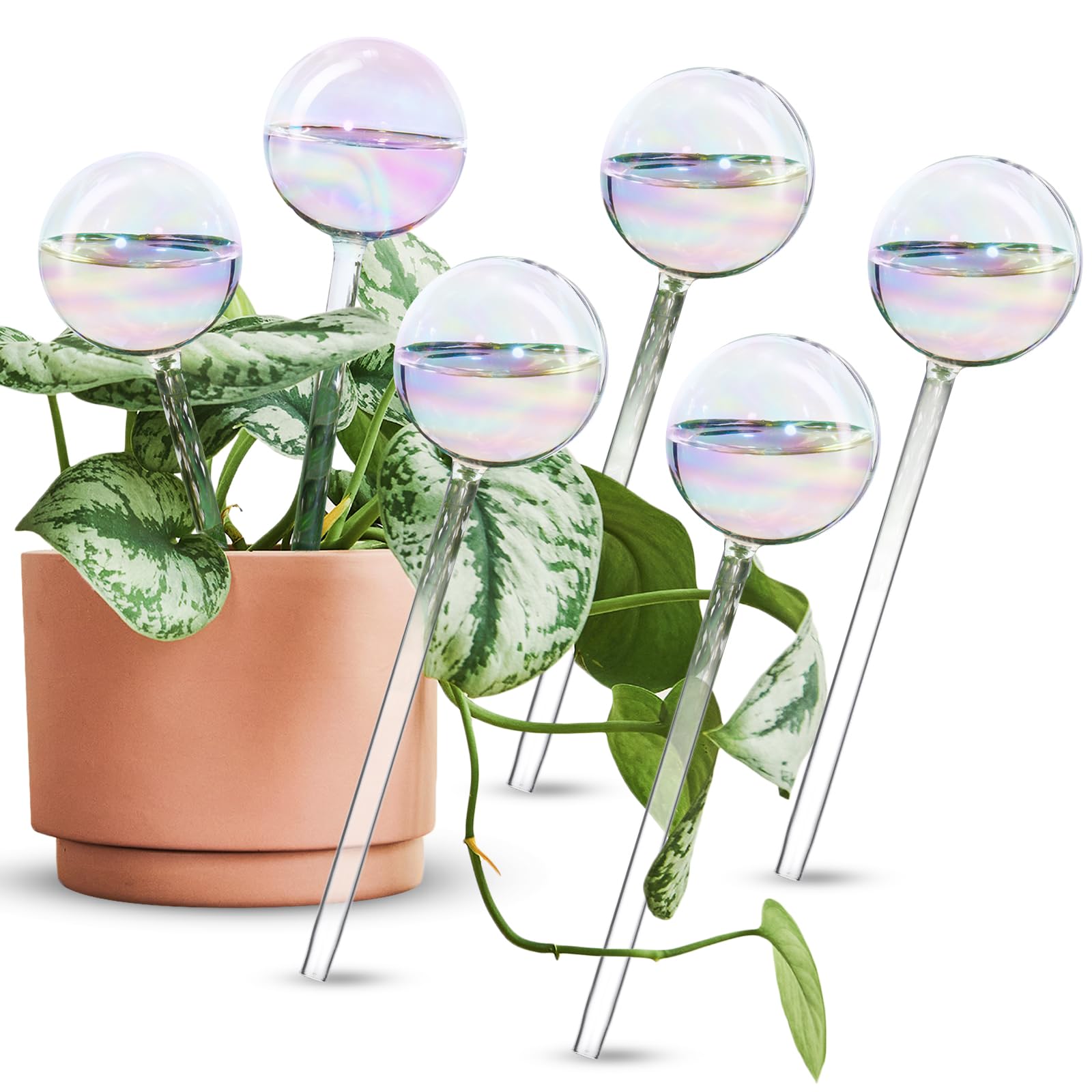 Tomorotec rainbow glass self-watering spike delivers steady moisture and color.