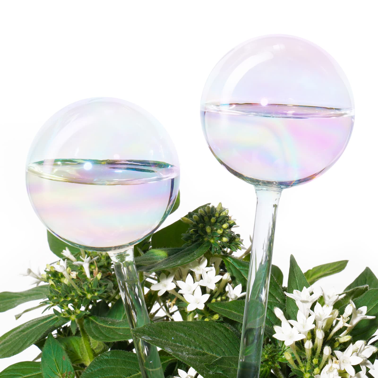 Tomorotec rainbow glass self-watering spike close-up, promotes steady watering for healthy plants.
