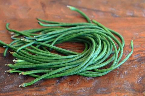 TomorrowSeeds close-up yard-long bean texture promises crisp bite