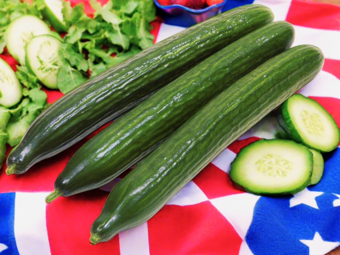 TomorrowSeeds English Telegraph cucumber in urban container garden