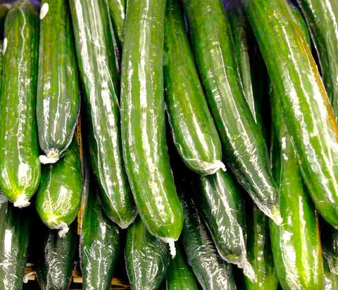 TomorrowSeeds European cucumber with smooth skin, perfect in salads