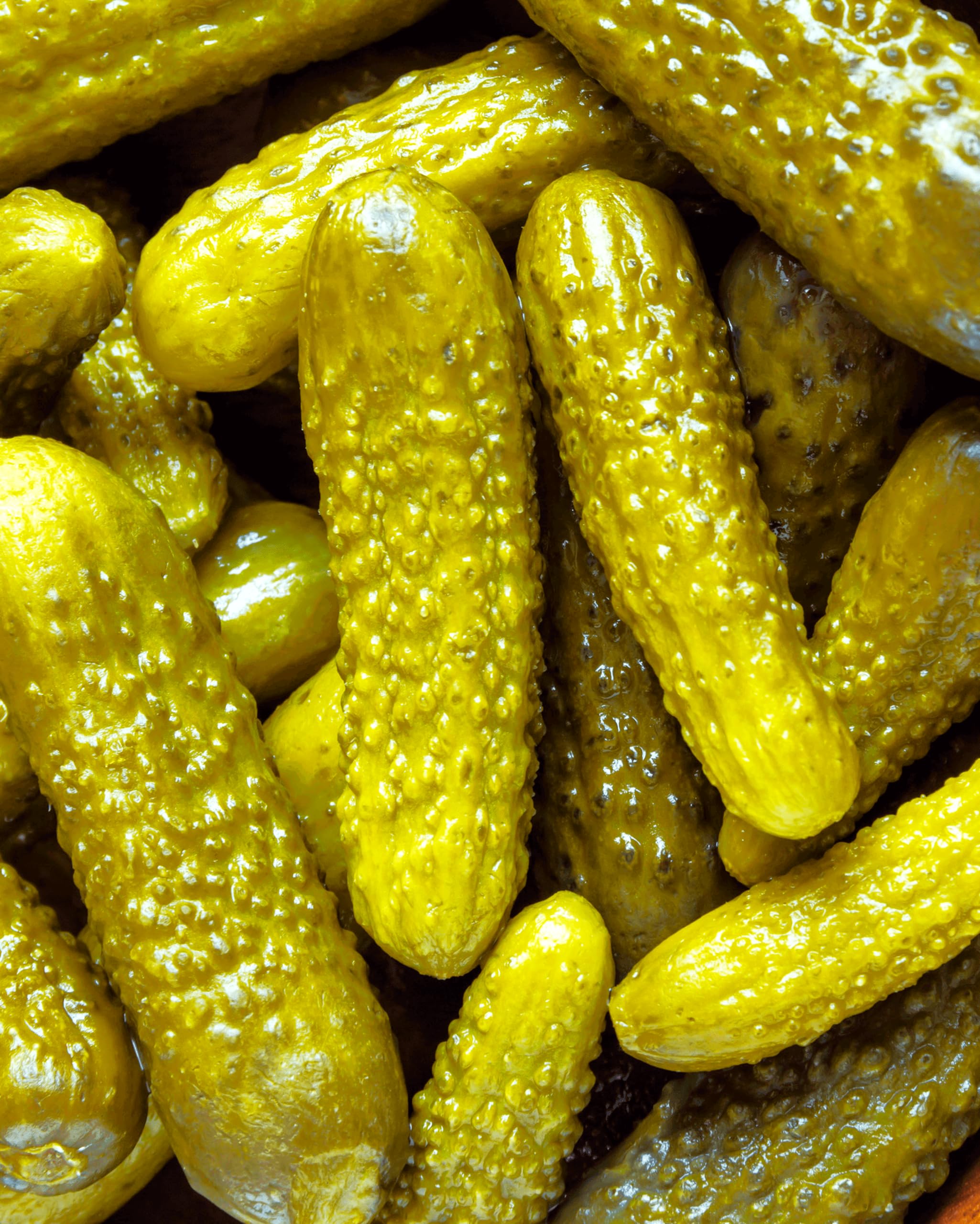 TomorrowSeeds Parisian Gherkin F1 fast-harvest 50-day maturity for quick rewards.