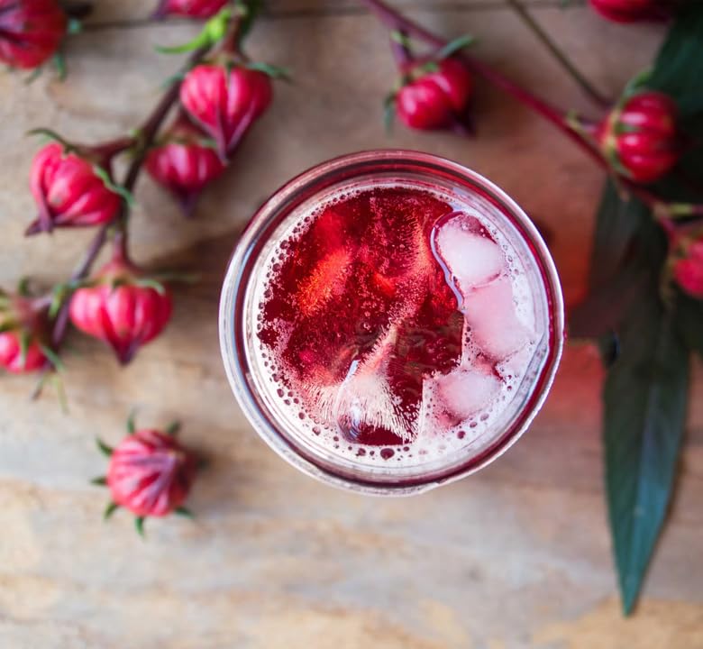 TomorrowSeeds Roselle thrives in full sun or partial shade in warm climates.