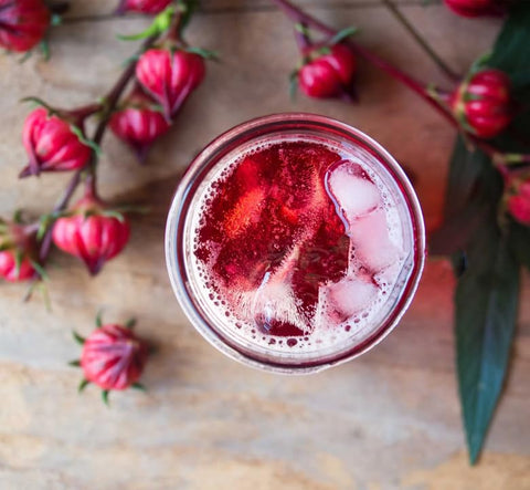 TomorrowSeeds Roselle thrives in full sun or partial shade in warm climates.