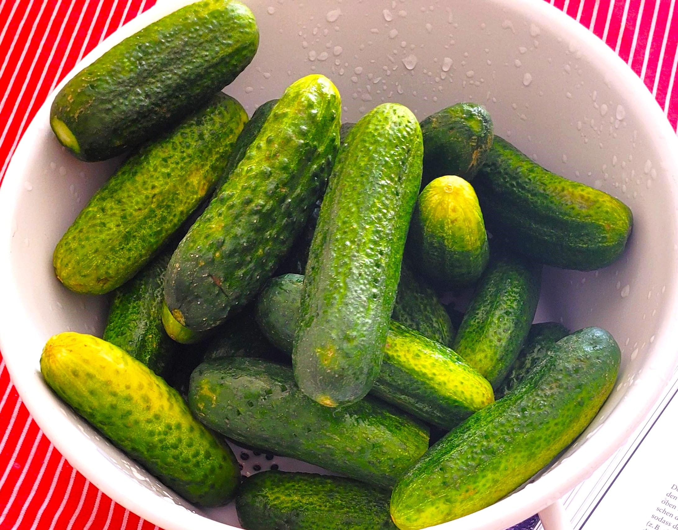 TomorrowSeeds Parisian Gherkin F1 tiny-crisp-pickling cucumbers for homemade pickles.
