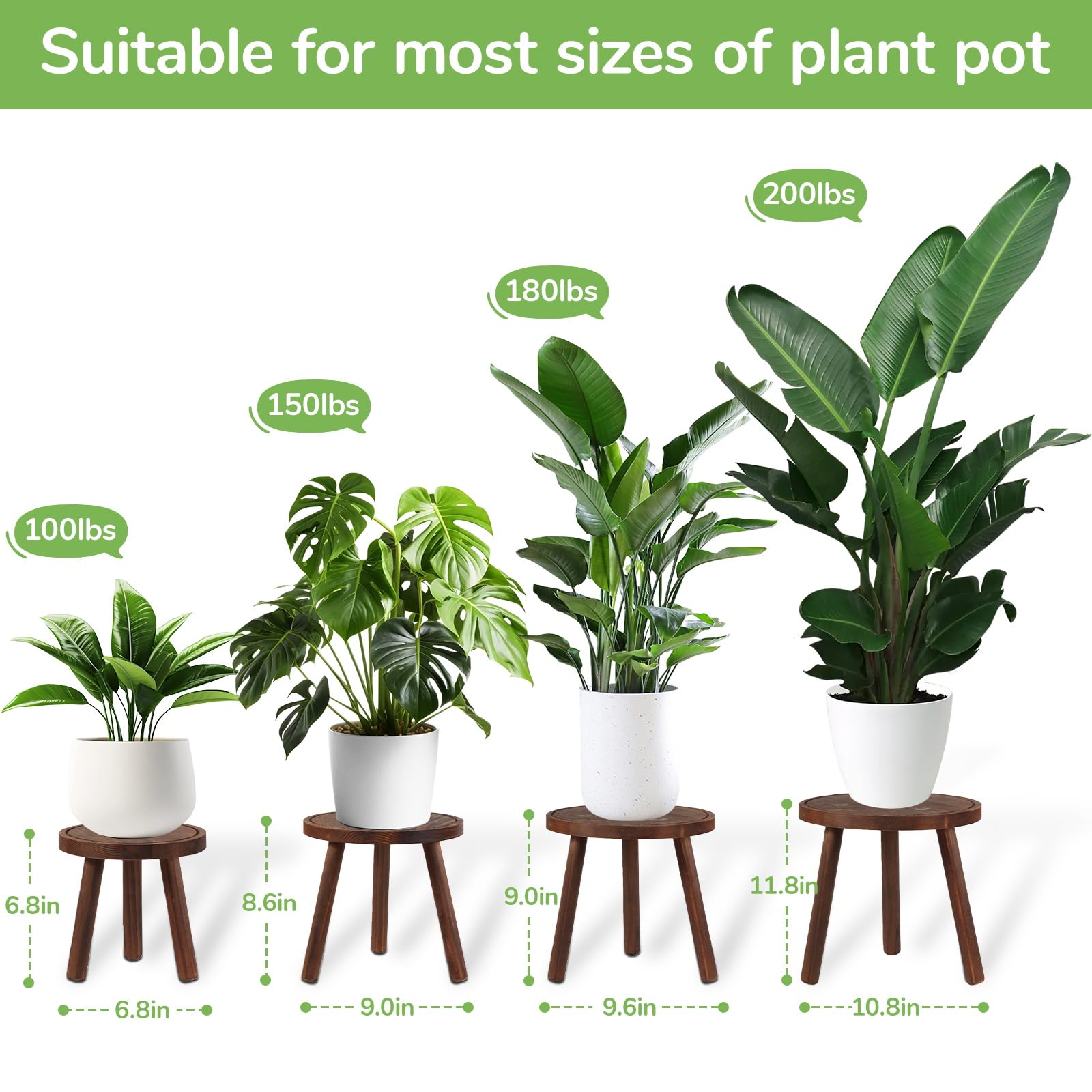 TOMSHUB four-pack plant stands with varied heights for creative indoor displays