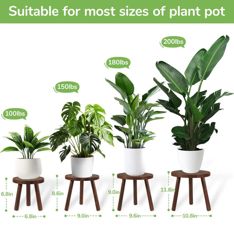 TOMSHUB four-pack plant stands with varied heights for creative indoor displays