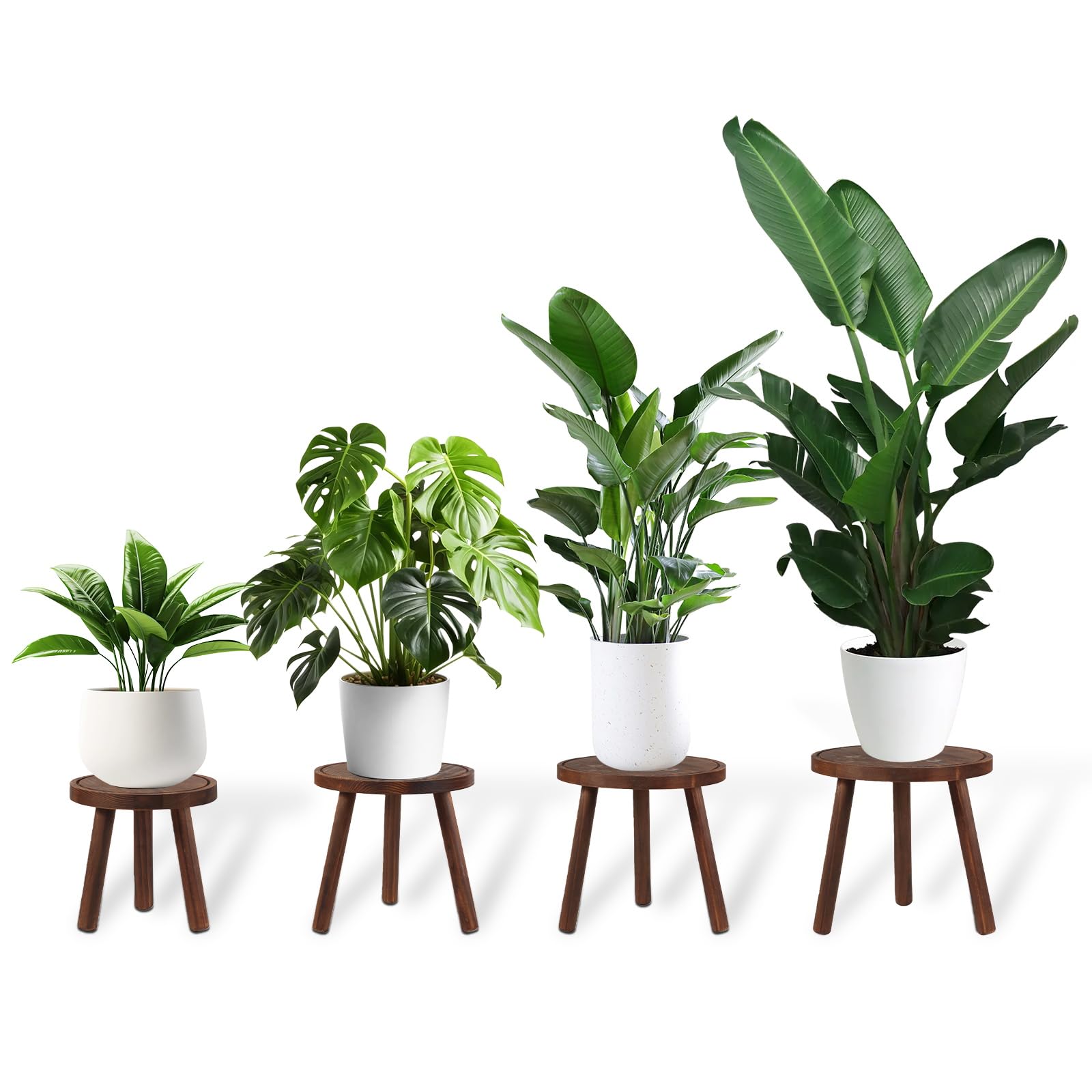 TOMSHUB wood plant stands holding a 6-12 inch pot display