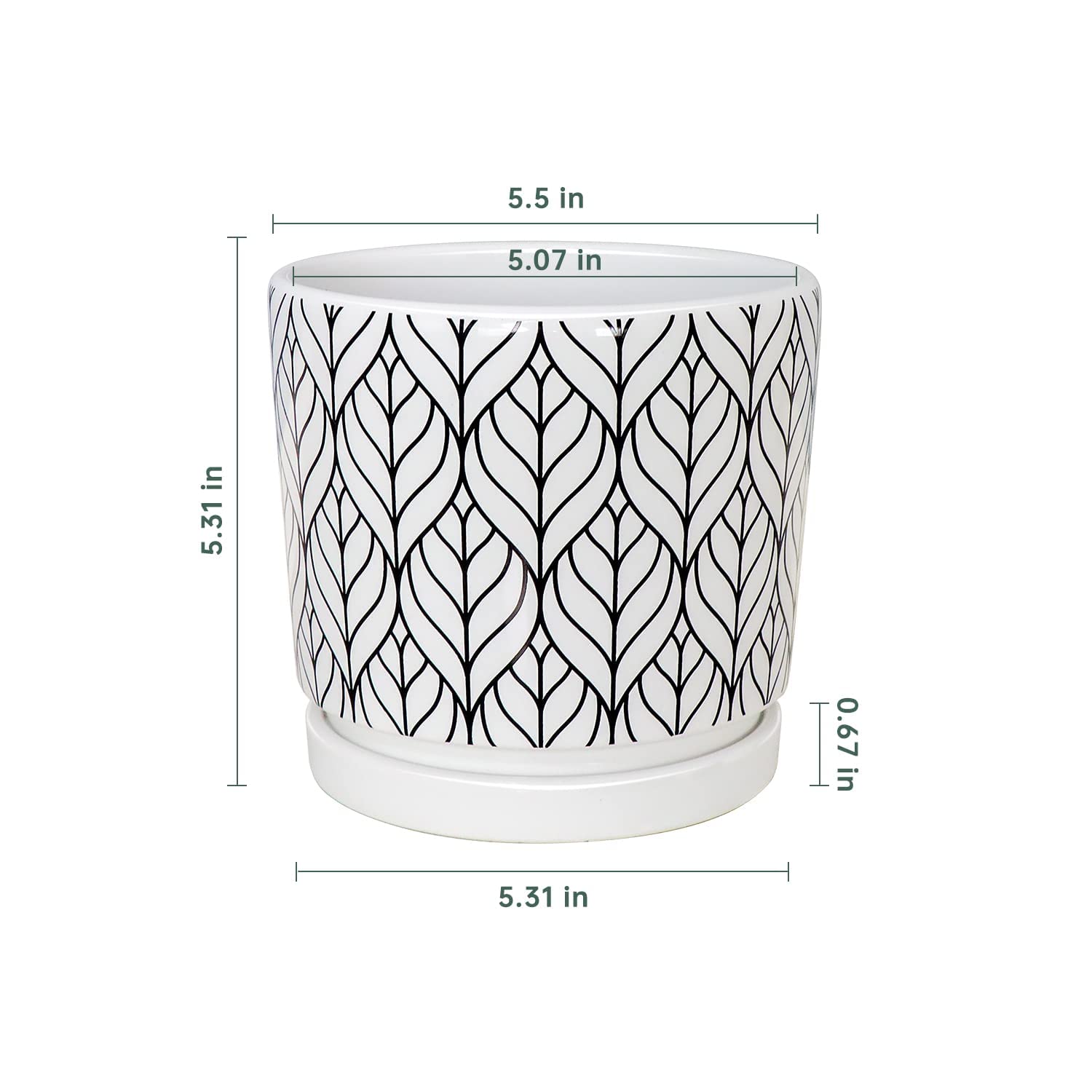 Ton Sin ceramic planter with attached saucer helps minimize water runoff.