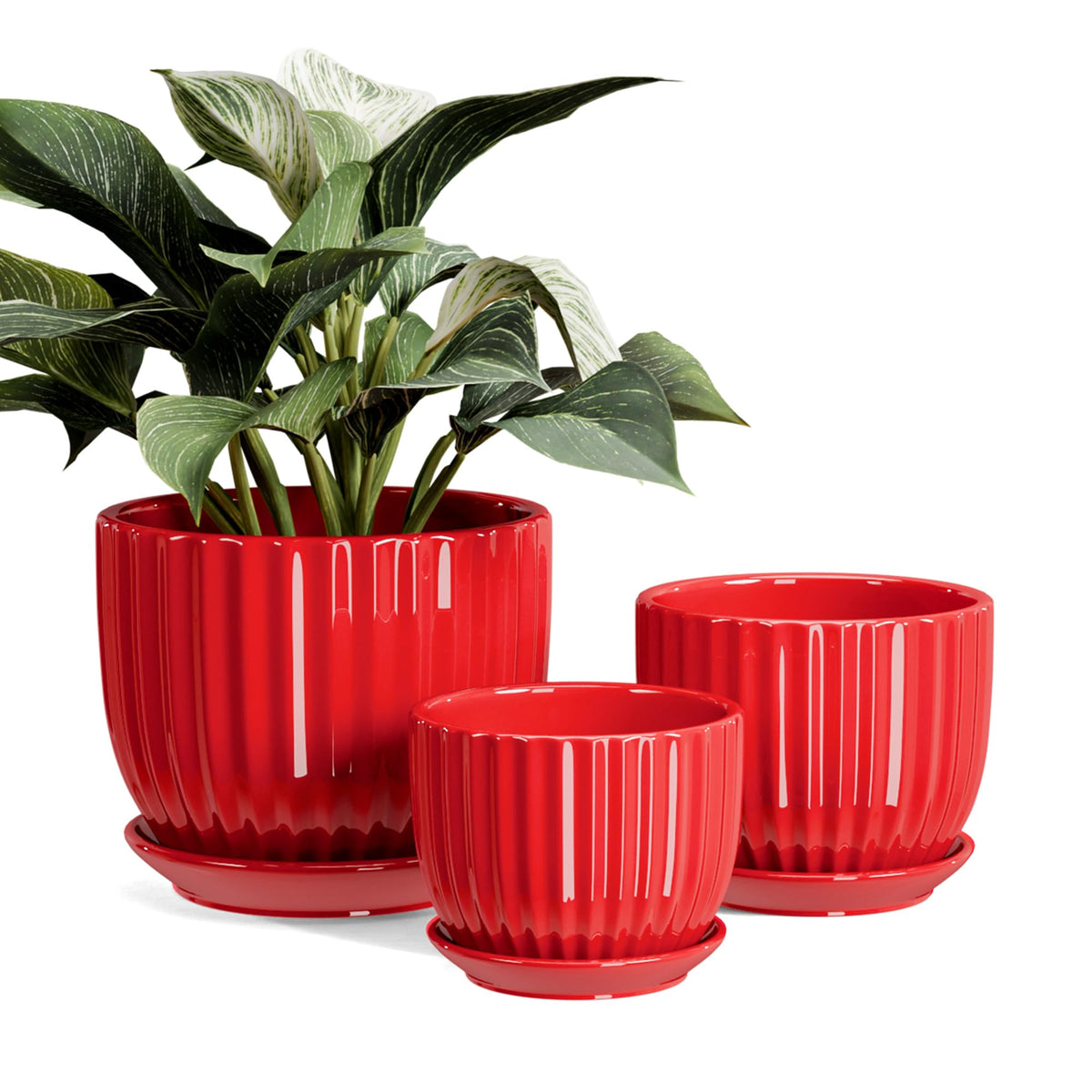 Ton Sin 4-inch red ceramic pot ideal for compact indoor plants