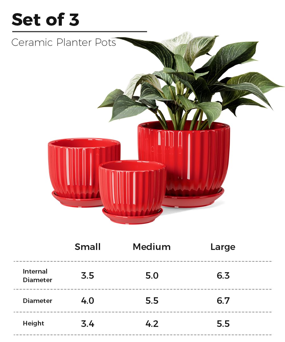 Ton Sin 6-inch red ceramic pot with drainage for healthy roots