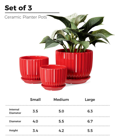 Ton Sin 6-inch red ceramic pot with drainage for healthy roots