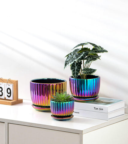 Ton Sin colorfulgold glazed planter with drainage hole for healthy roots.