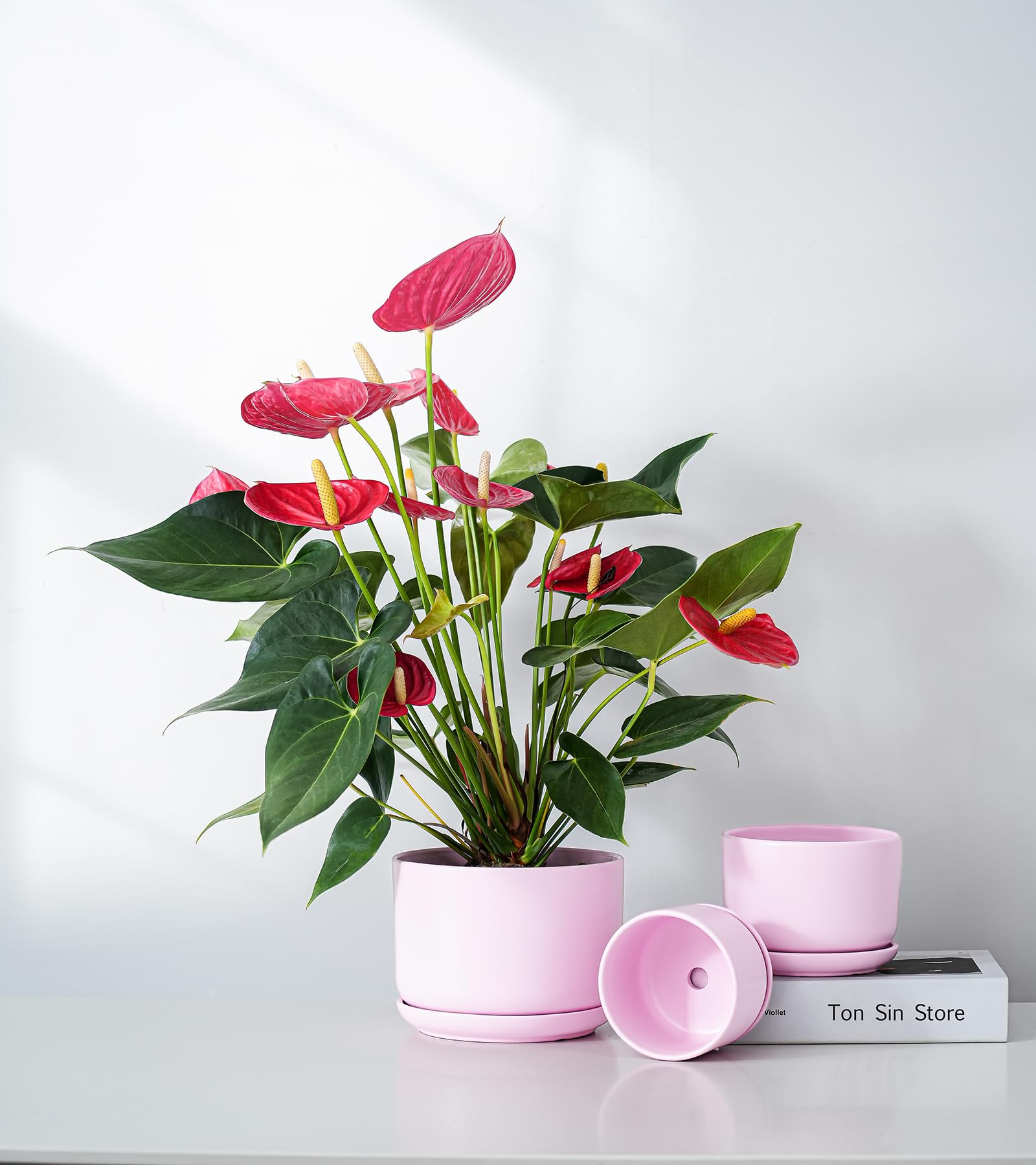 Ton Sin included tray protects surfaces from water spills