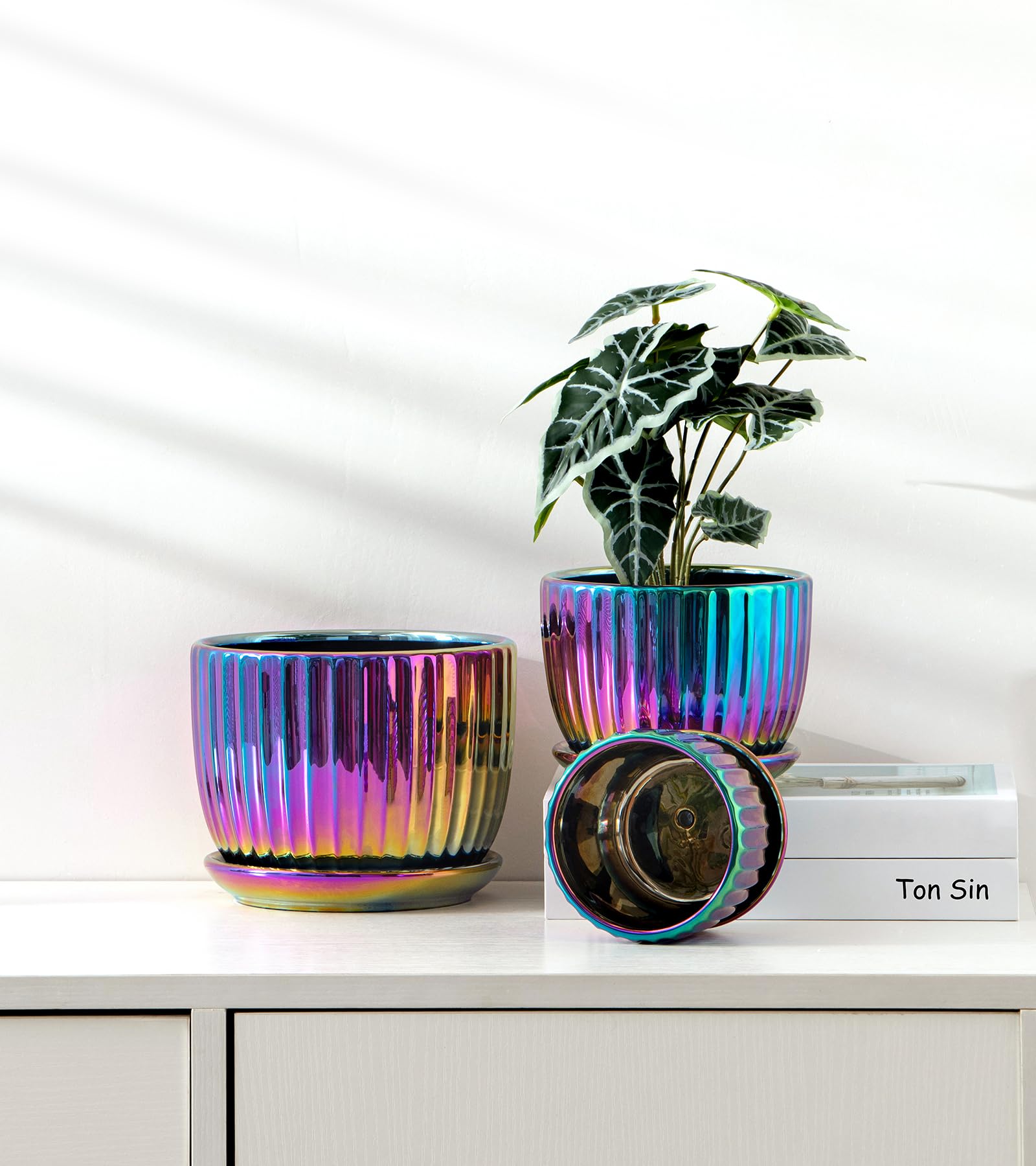 Ton Sin gift-ready flower pots for birthdays or holidays.