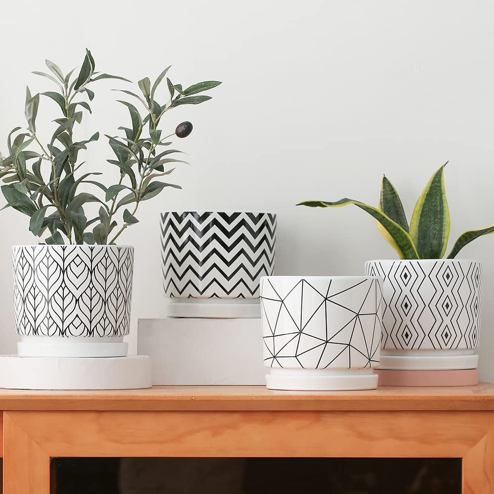 Ton Sin white cylinder ceramic planter in kaolin clay for a clean display.